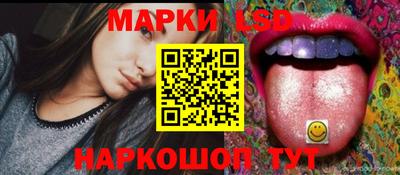 амф Ярославль