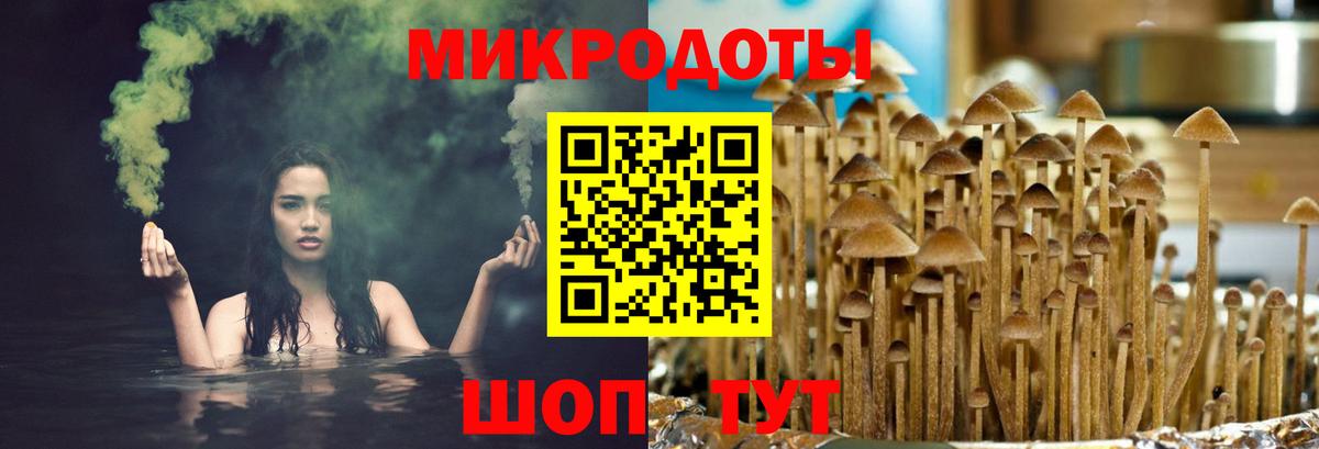 Псилоцибиновые грибы Magic Shrooms Борзя